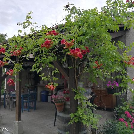 Bed and Breakfast Le Coq En Pate Romilly-sur-Seine Exterior foto
