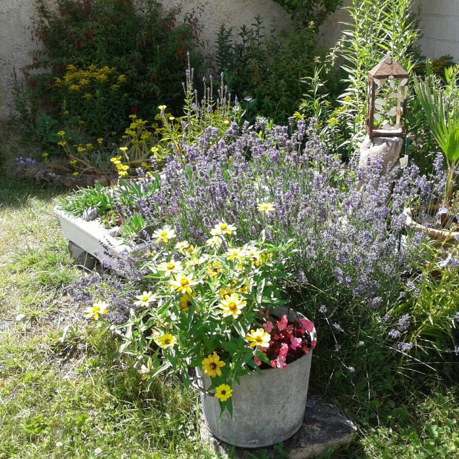 Bed and Breakfast Le Coq En Pate Romilly-sur-Seine Exterior foto